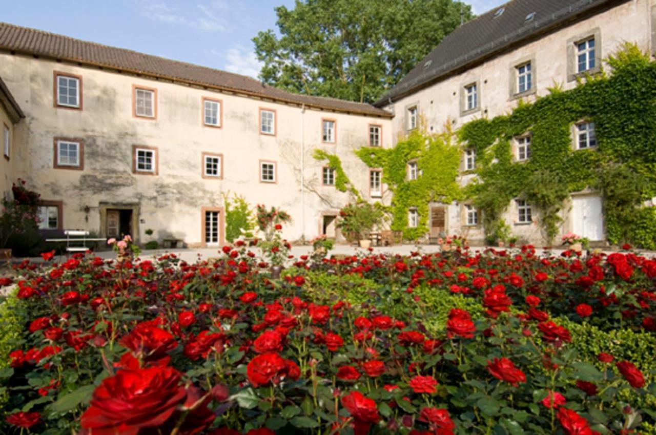 Ferienhof "Die Schenkenau" Bodelstadt Exteriör bild